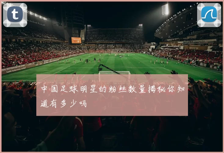 中国足球明星的粉丝数量揭秘你知道有多少吗