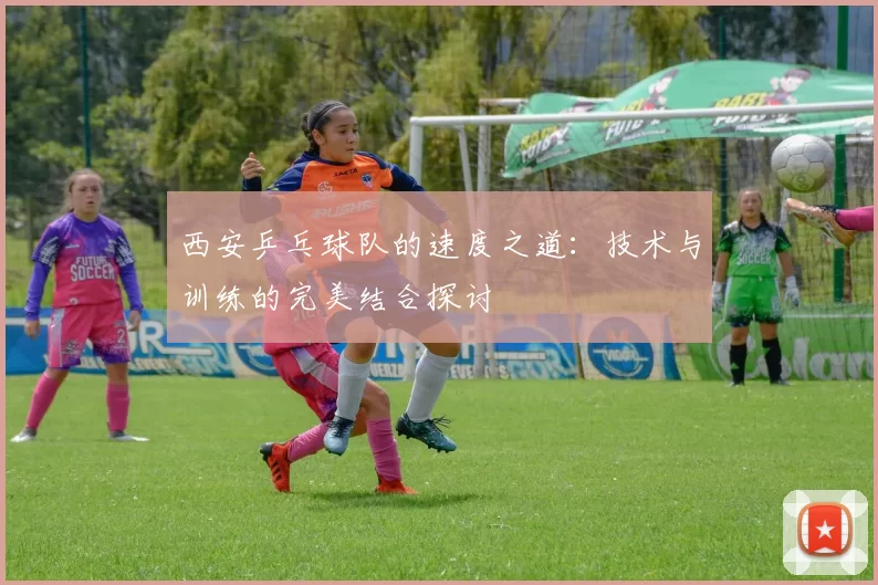 西安乒乓球队的速度之道：技术与训练的完美结合探讨