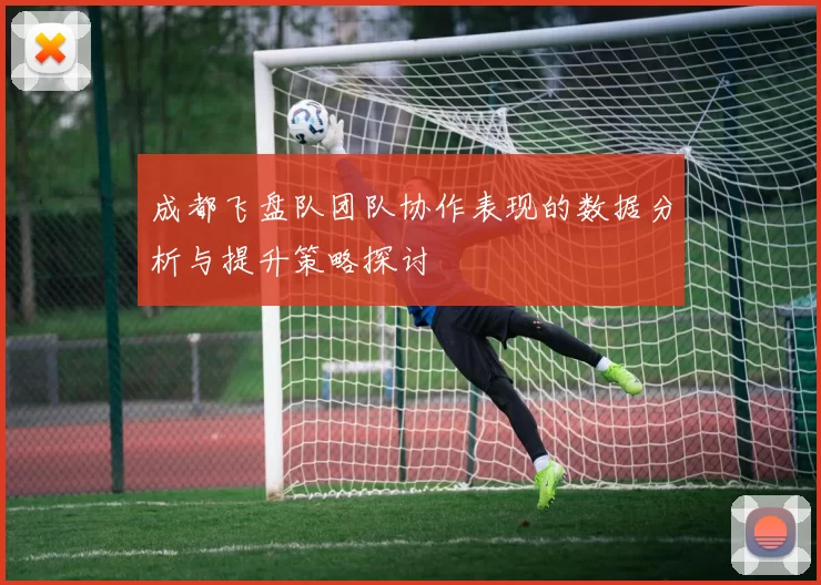 成都飞盘队团队协作表现的数据分析与提升策略探讨