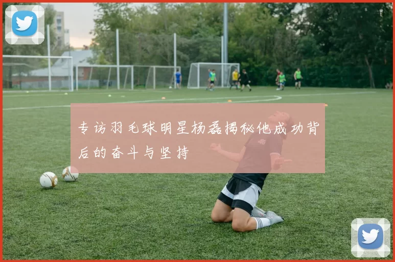 专访羽毛球明星杨磊揭秘他成功背后的奋斗与坚持