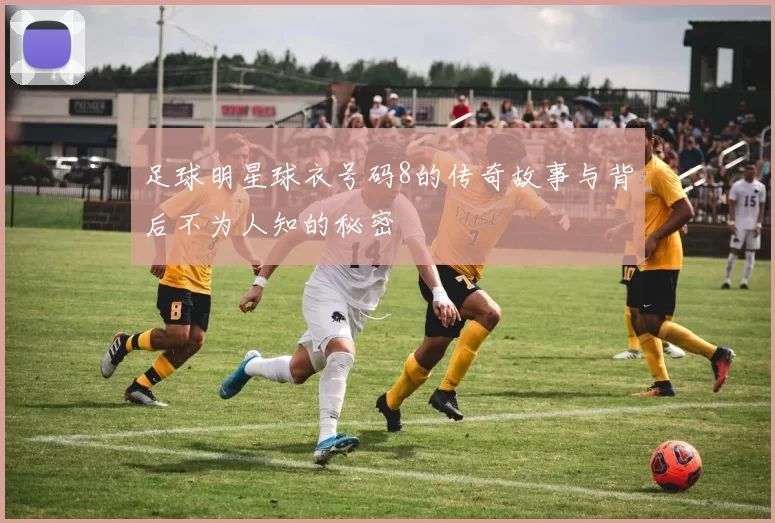 足球明星球衣号码8的传奇故事与背后不为人知的秘密