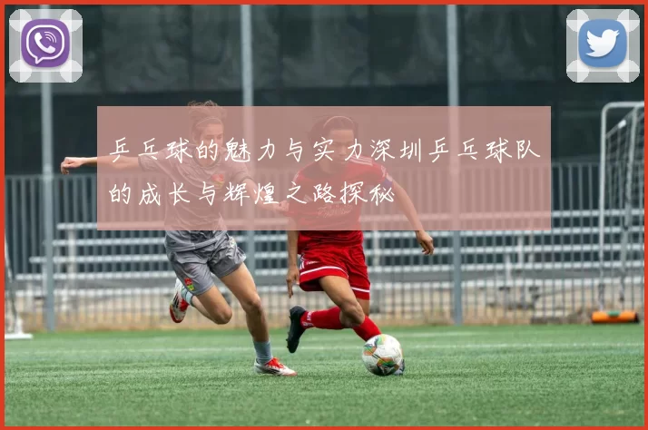 乒乓球的魅力与实力深圳乒乓球队的成长与辉煌之路探秘