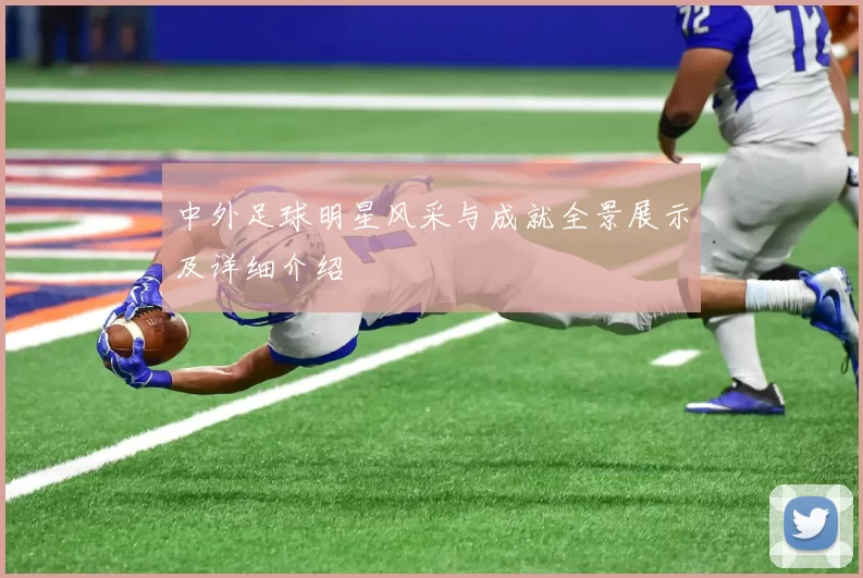 中外足球明星风采与成就全景展示及详细介绍