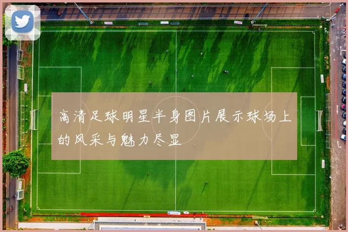 高清足球明星半身图片展示球场上的风采与魅力尽显