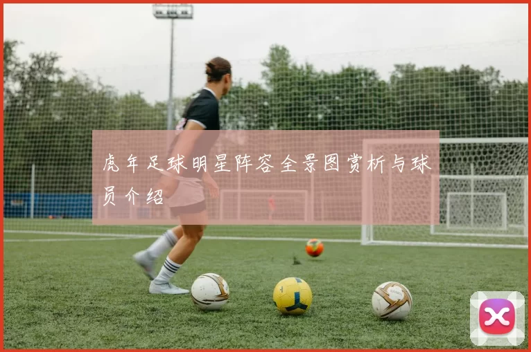 虎年足球明星阵容全景图赏析与球员介绍
