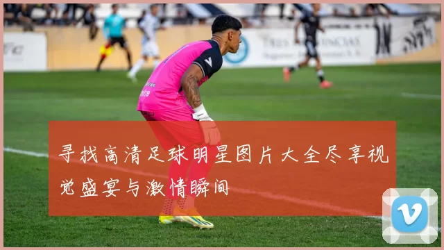 寻找高清足球明星图片大全尽享视觉盛宴与激情瞬间
