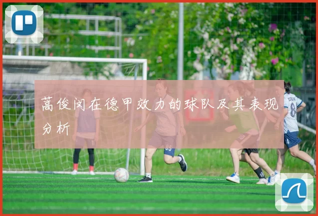 蒿俊闵在德甲效力的球队及其表现分析