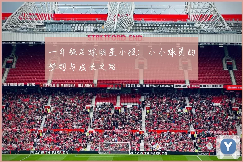 一年级足球明星小报：小小球员的梦想与成长之路