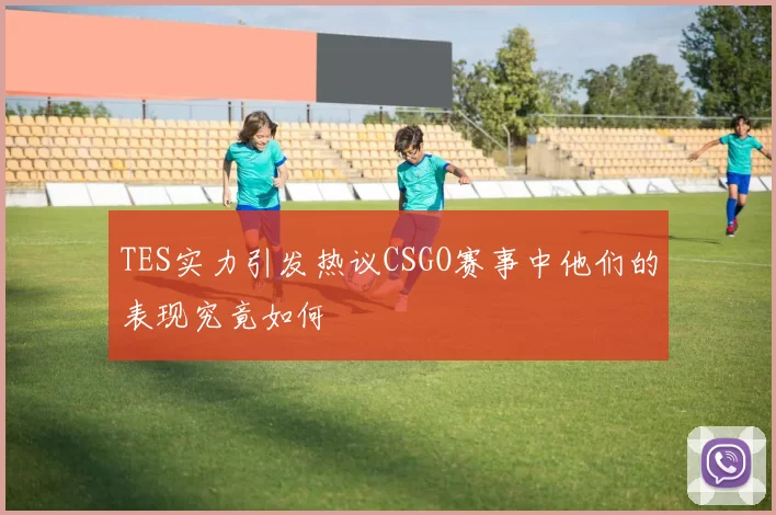 TES实力引发热议CSGO赛事中他们的表现究竟如何