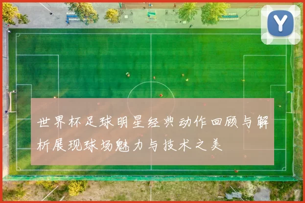 世界杯足球明星经典动作回顾与解析展现球场魅力与技术之美