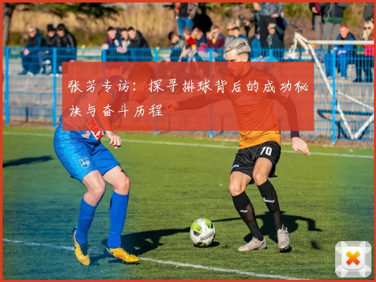 张芳专访：探寻排球背后的成功秘诀与奋斗历程