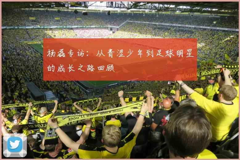 杨磊专访：从青涩少年到足球明星的成长之路回顾