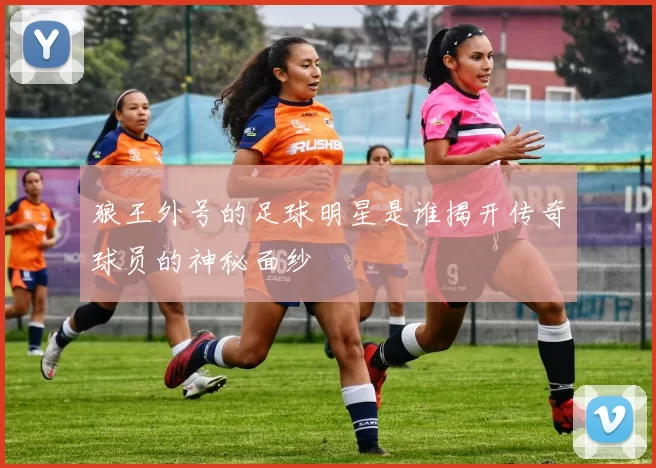 狼王外号的足球明星是谁揭开传奇球员的神秘面纱
