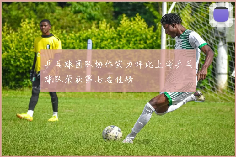 乒乓球团队协作实力评比上海乒乓球队荣获第七名佳绩