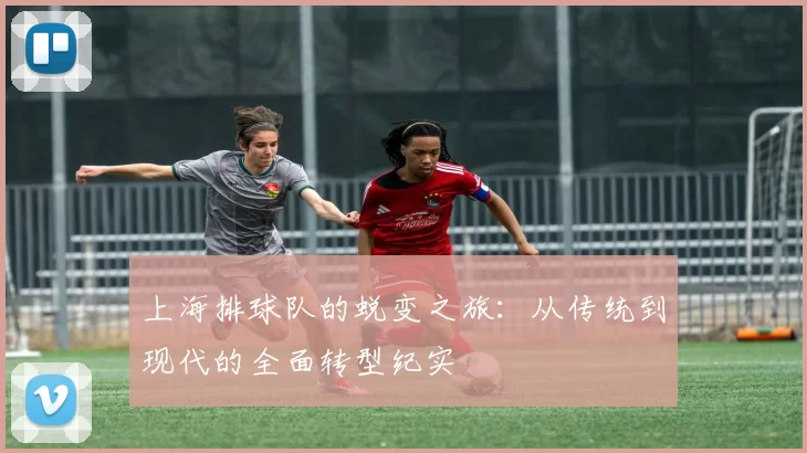 上海排球队的蜕变之旅：从传统到现代的全面转型纪实
