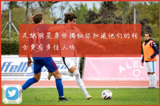 足球明星身价揭秘你知道他们的转会费有多惊人吗