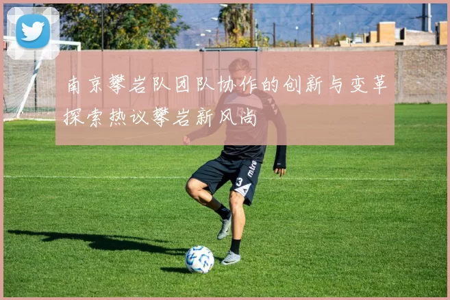 南京攀岩队团队协作的创新与变革探索热议攀岩新风尚