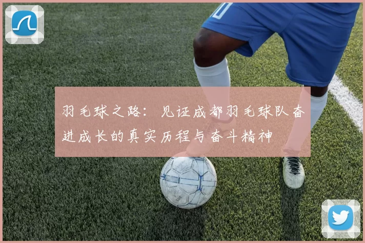 羽毛球之路：见证成都羽毛球队奋进成长的真实历程与奋斗精神