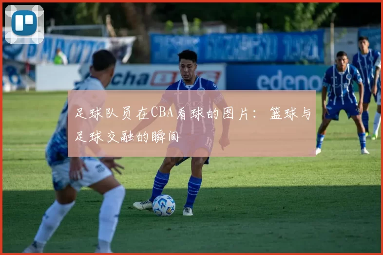 足球队员在CBA看球的图片：篮球与足球交融的瞬间