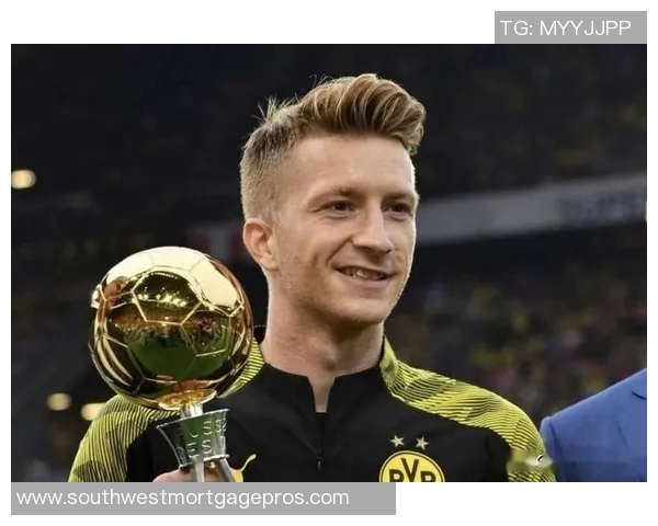 罗伊斯加盟德甲球队的贡献与未来展望